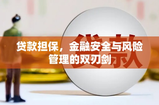临安贷款担保，金融安全与风险管理的双刃剑