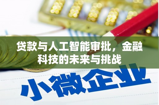 雅江贷款与人工智能审批，金融科技的未来与挑战