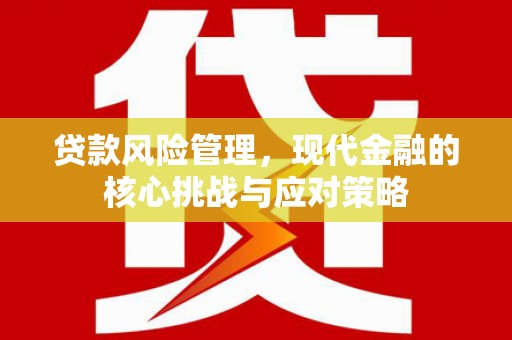 海拉尔贷款风险管理，现代金融的核心挑战与应对策略