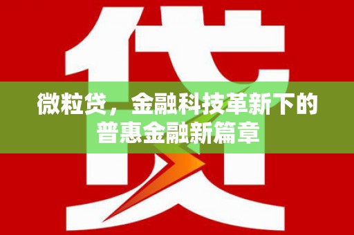 南岸微粒贷，金融科技革新下的普惠金融新篇章
