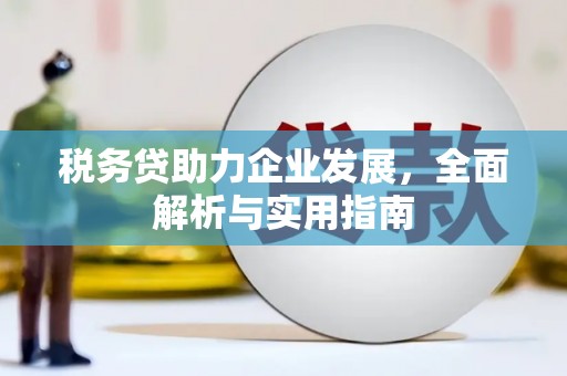 宁阳税务贷助力企业发展，全面解析与实用指南