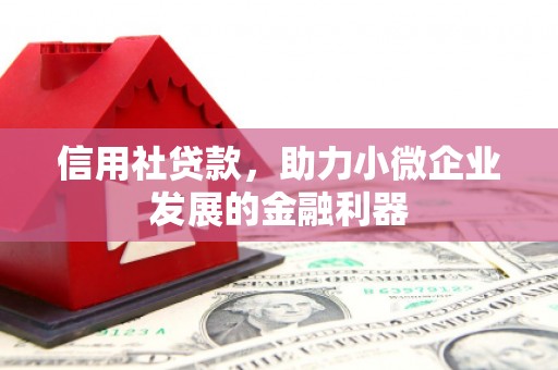 新洲信用社贷款，助力小微企业发展的金融利器