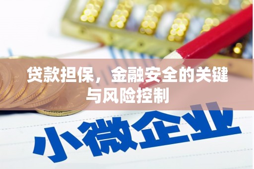 临安贷款担保，金融安全的关键与风险控制