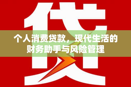 临邑个人消费贷款，现代生活的财务助手与风险管理