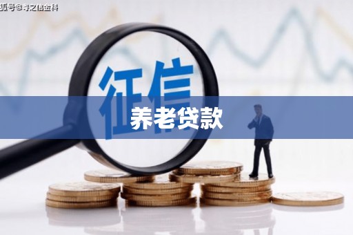 石嘴山养老贷款