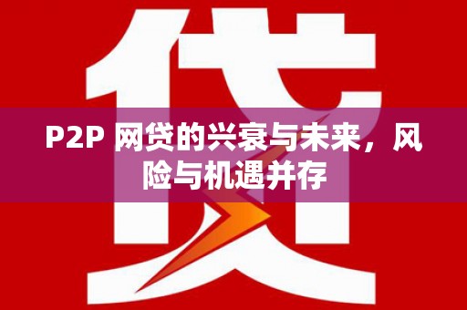 大社P2P 网贷的兴衰与未来，风险与机遇并存