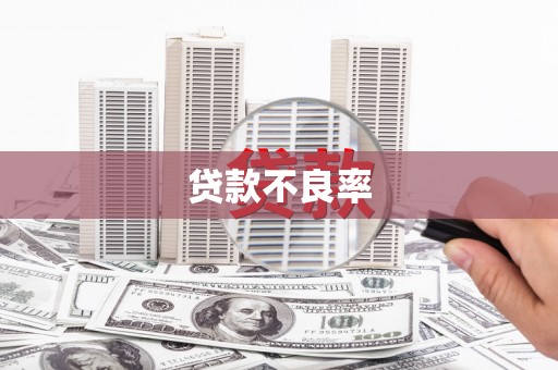 馆陶贷款不良率