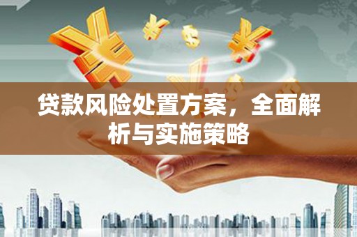 保亭贷款风险处置方案，全面解析与实施策略