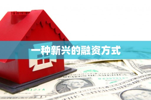 文安一种新兴的融资方式