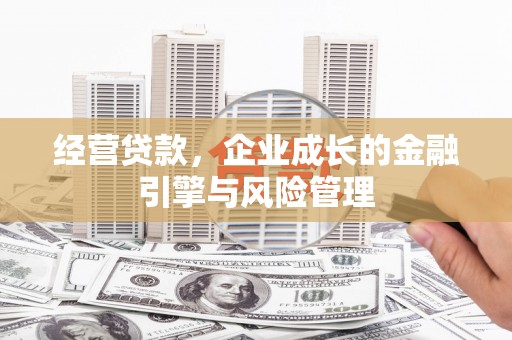 鄯善经营贷款，企业成长的金融引擎与风险管理